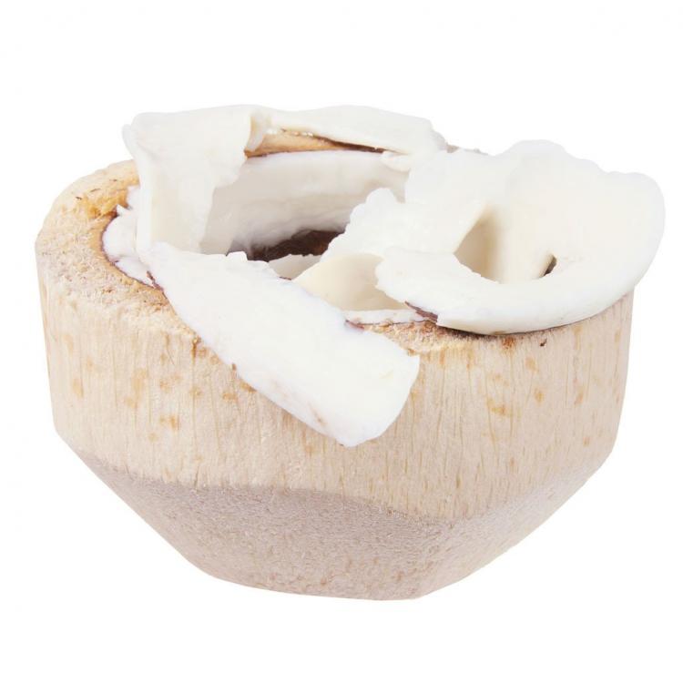 Coconut Meat