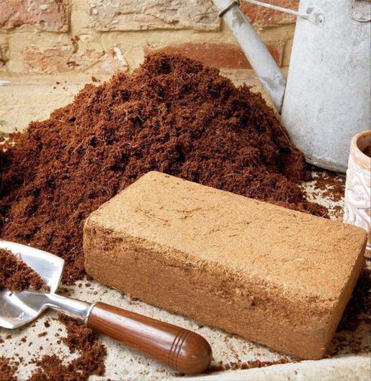 Cocopeat