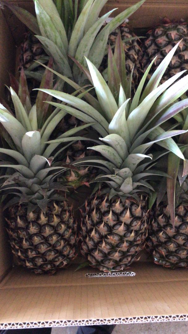 Pineaple